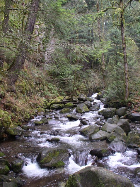 Waukeena Mult Falls 11.26.05 080 